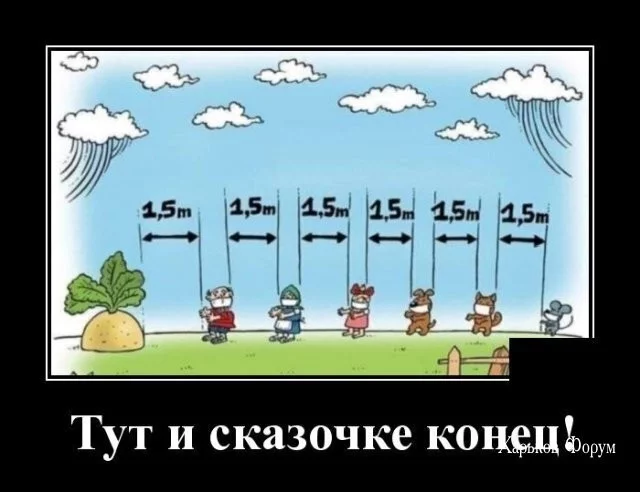 d2d781649fb2649ab3f.webp