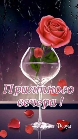 d2fc6427b4dba879456ede.webp