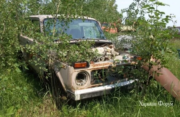 d2fd84c43194dfe35.webp