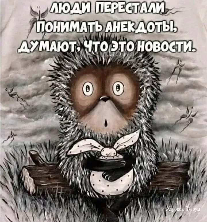 d2fdd233a633a018.webp