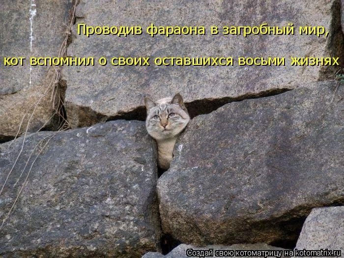 d2fegf.webp