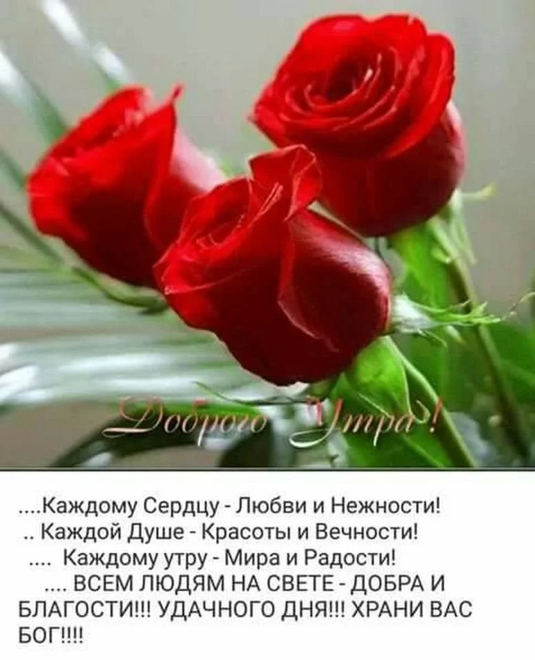 d30a5e461a7ce3b4.webp