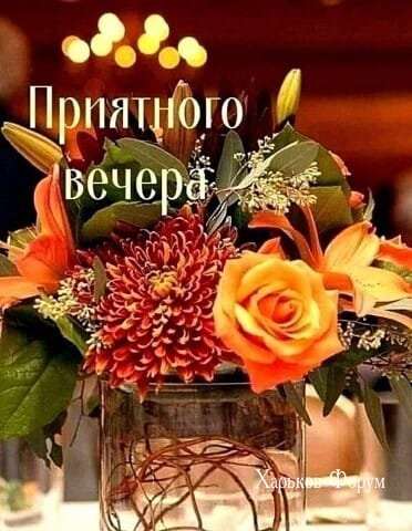 d30e1dfa97b61c048c91dd.jpg
