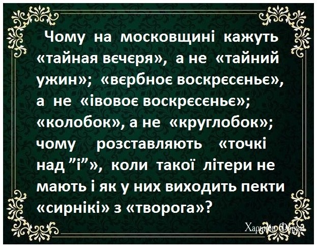d33738a8c8f1e32493.jpg