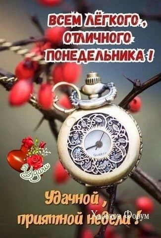d376215e1e47c2861d.webp