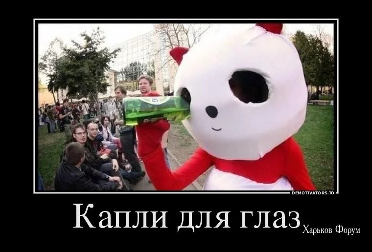 d37ca544176cbc21565.webp