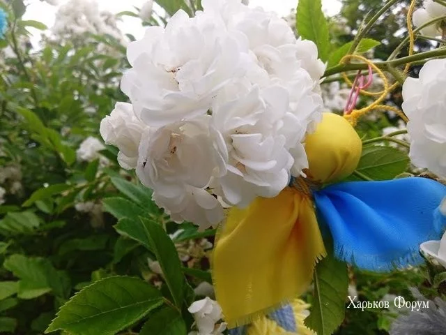 d38193937906297895dae6.webp