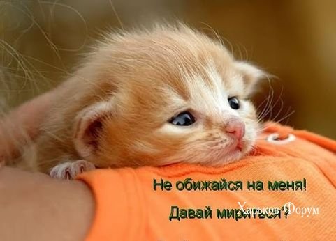 d38a6cb57d990ef1942f.jpg