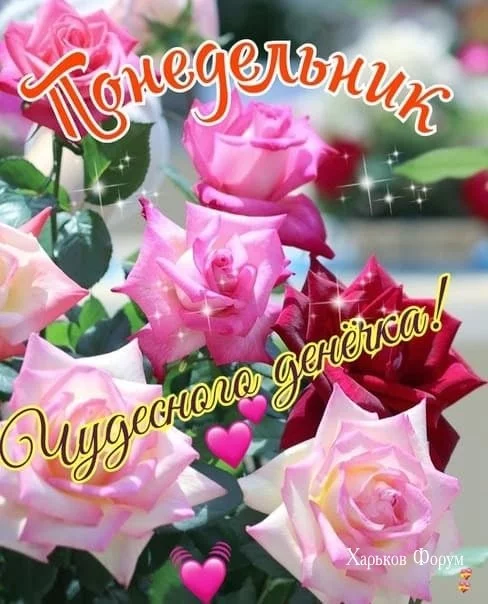 d38bd6afc5b0a6adc.webp
