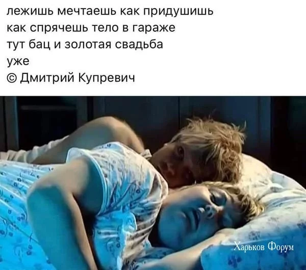 d39fd7794217e84ca65.webp