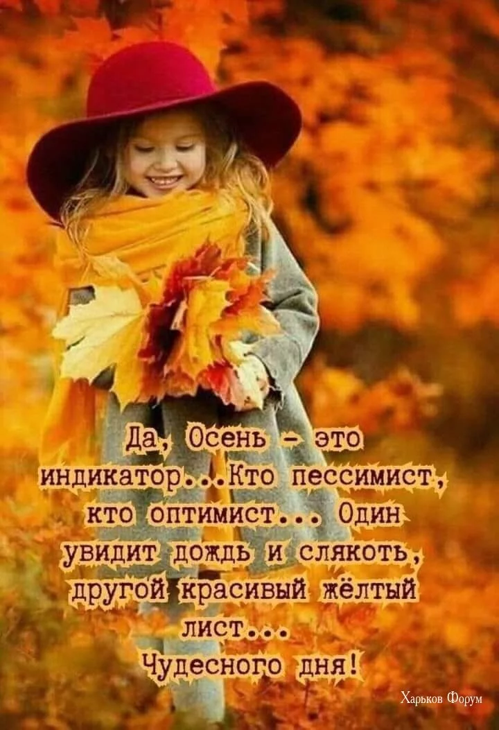 d3ab1a748f41259a347d74c5.webp