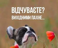 d3ajgh.webp