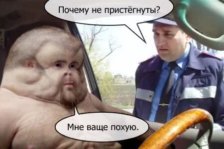 D3AuTZGp7rY.webp