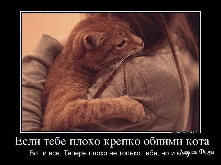 d3be45daf30caca10fe.webp