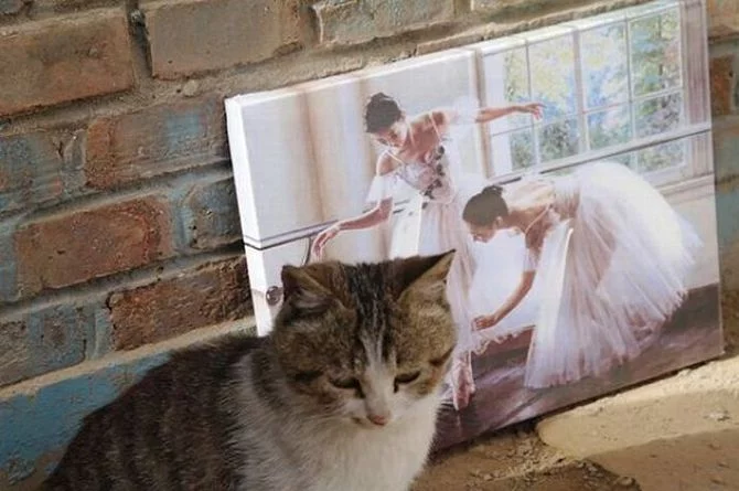d3bgfj.webp