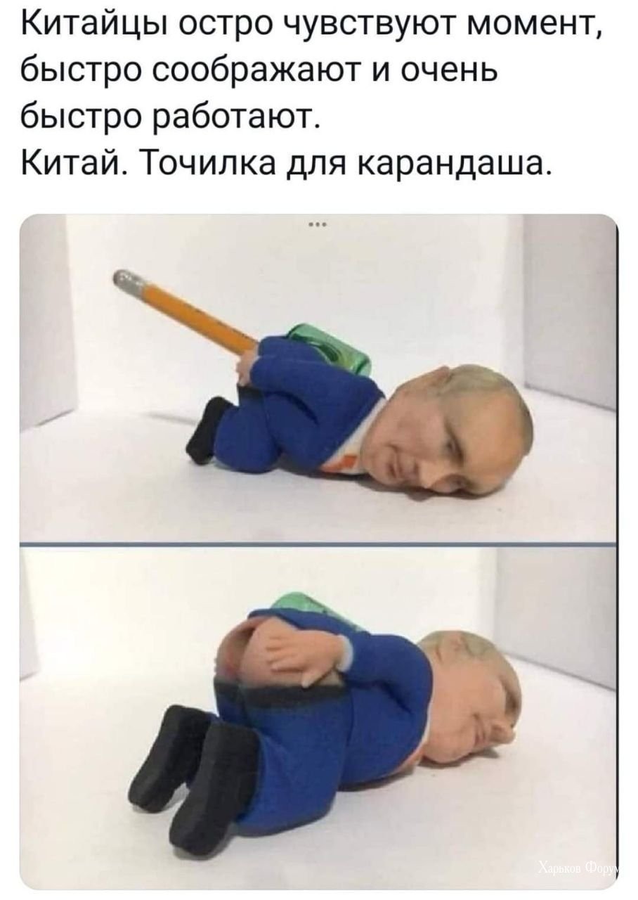 d3cbf7c04cf9d79f6387d.jpg