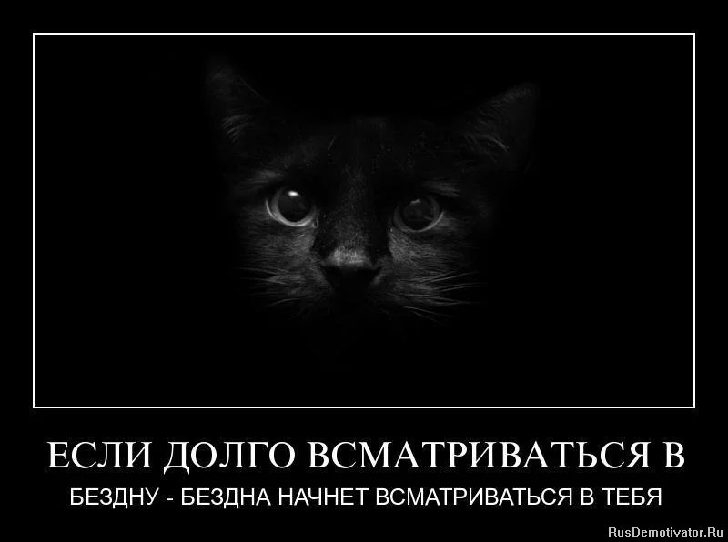 d3cgcb.webp