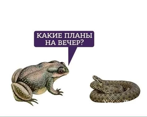 d3d2f1e66b8a74b6.webp
