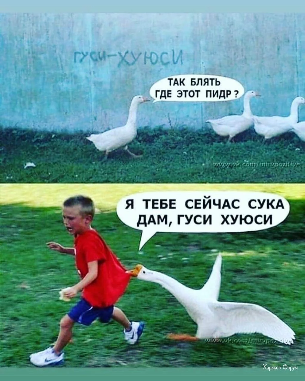 d3e446e848bbfaf98dd381b.webp