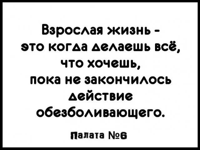 d3e9e5465d292992280a89.webp