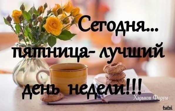 d3edd0da48314d7612.webp