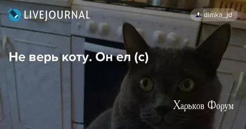 d3f7174b87e3cf824f1554.webp