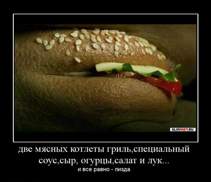 d3fhgf.webp