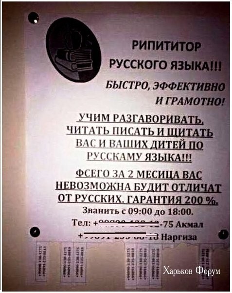 d42c668589064eee1bae10bc.jpg