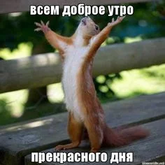 d42f579b3c1f7d97c043b6e5064d5b73.webp