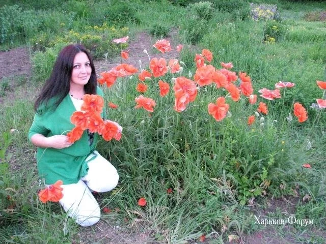 d4372262bce7a6d9a449c.webp