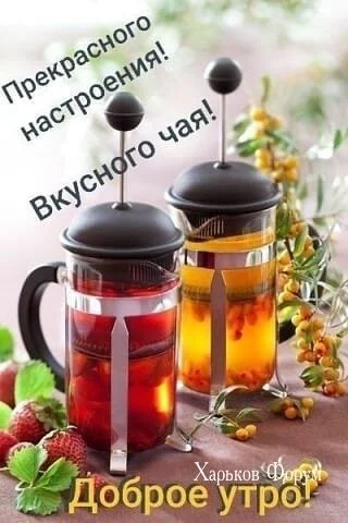 d43dd806cd5f32a43282f9f8.webp