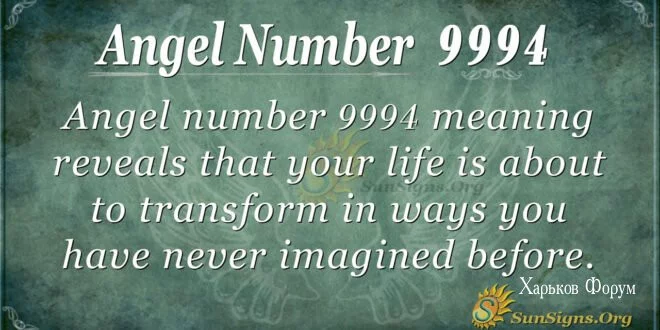 d4612acf1f5b44da8551f1.webp
