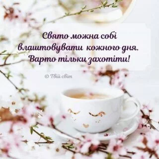 d4988749ef70324066f24cc9400e1e14.webp