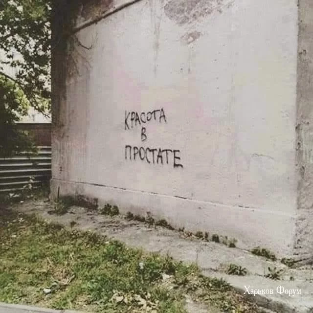 d4a773f6f60fdf17d586.webp