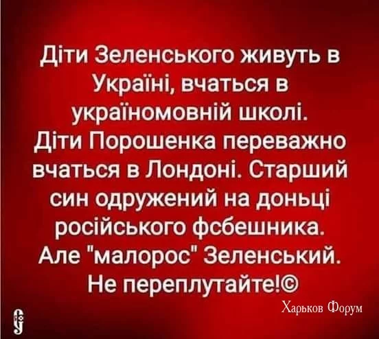 d4b8db313be17aab.webp