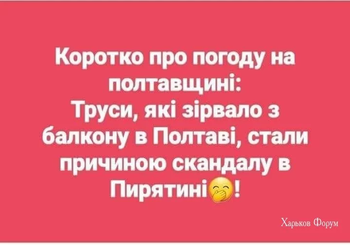d4bed30f35b325269a23.webp