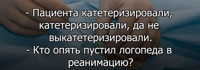 d4bjfd.webp