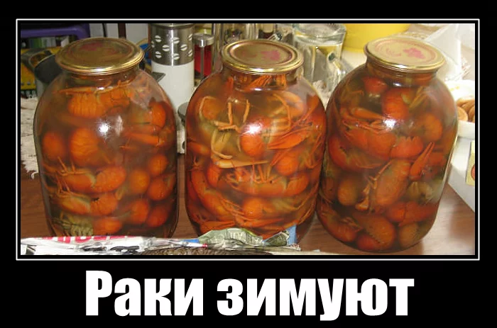 d4dahj.webp