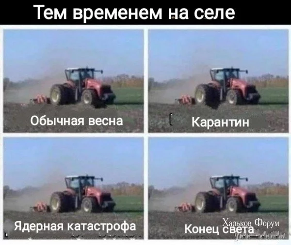 d4ec4d2fc979edb4044.webp