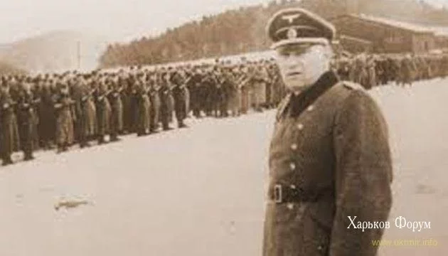 d4f492a24df2bf22.webp