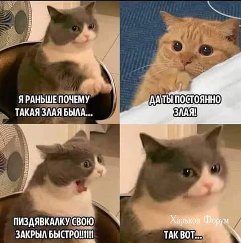 d4f8a5e1f442f450cbfad65.webp