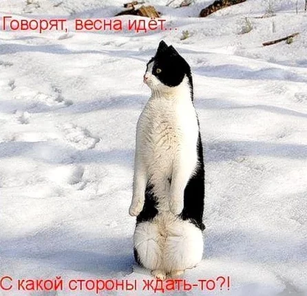 d4gaag.webp