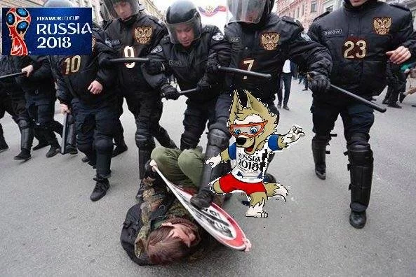 d4hbjf.webp