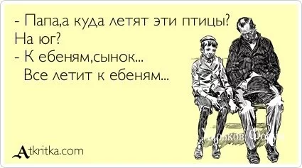 d51854712bffe6aaad249257.webp