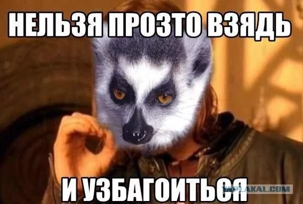 d5272b465ce0dae7d669199014ee1d83.webp