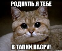d52f344378d6a931d454010591242f59.jpg