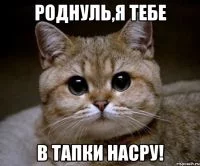 d52f344378d6a931d454010591242f59.webp