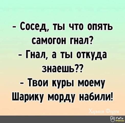 d547aa9ee6ed1194f211a43c.jpg