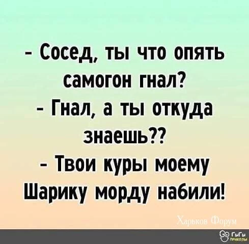 d547aa9ee6ed1194f211a43c.webp