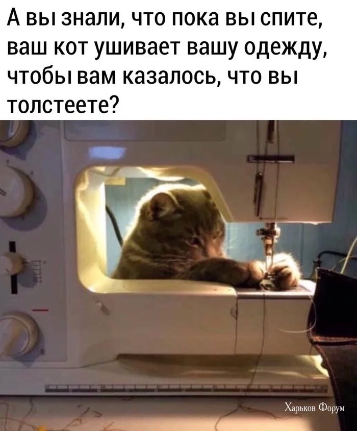 d54da5efc035c7a5b6.webp